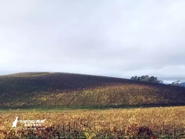 重庆澳威全屋定制：windows xp天气阴郁时，丝毫见不到曾经清丽的美景